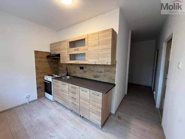 Pronájem bytu 2+1 55 m2, Sídliště U Nového nádraží, Bílina – Teplické Předměstí, okres Teplice