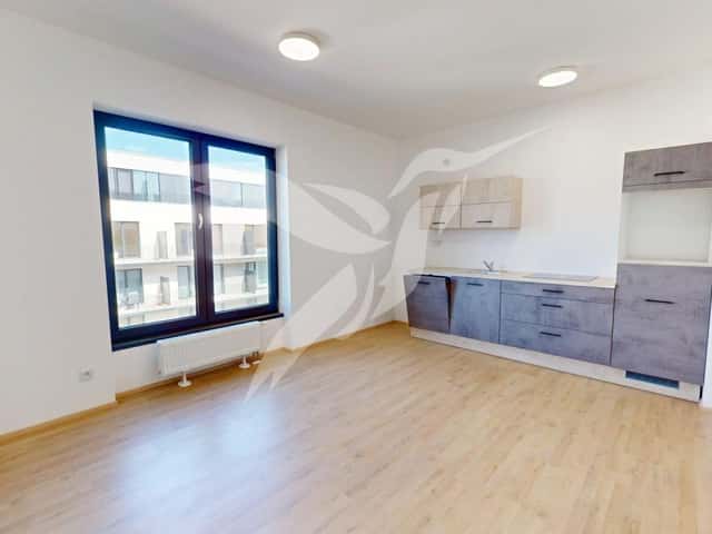 Pronájem bytu 1+kk 30 m2, Železná, Plzeň – Jižní Předměstí, okres Plzeň-město