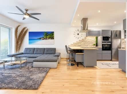 Pronájem bytu, 2+kk, 67 m², Řípská, Brno – Brno-Slatina, okres Brno-město