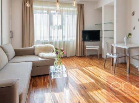 Pronájem bytu, 2+kk, 45 m², Holečkova, Praha 5