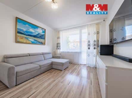 Prodej bytu, 3+1, 62 m², Borová, Chomutov
