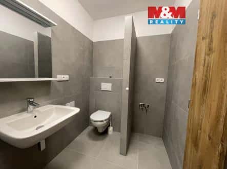 Pronájem bytu, 2+kk, 74 m², Lidická, Ostrava – Vítkovice, okres Ostrava-město