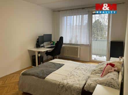 Pronájem bytu, 2+1, 60 m², Družstevní, Strakonice – Strakonice II