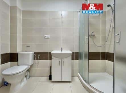 Prodej domu/vily, 150 m², Daliborova, Ostrava – Mariánské Hory a Hulváky, okres Ostrava-město