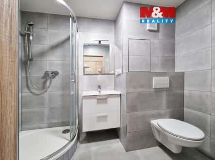 Pronájem bytu, 2+1, 54 m², Fibichova, Karlovy Vary – Stará Role