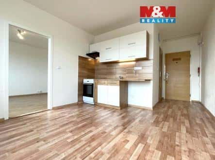Pronájem bytu, 1+1, 33 m², Kmochova, Ústí nad Labem – Ústí nad Labem-Severní Terasa