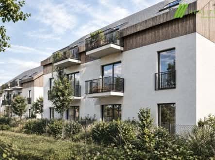 Prodej bytu, 1+kk, 39 m², Školní, Milotice, okres Hodonín