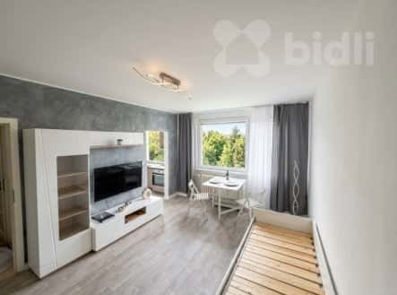 Pronájem bytu, 1+1, 28 m², Krynická, Praha 8 – Troja