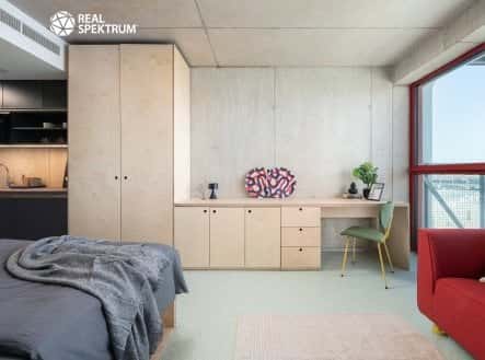 Pronájem bytu, 1+kk, 24 m², Dornych, Brno – Brno-střed, okres Brno-město