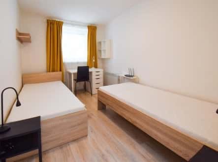 Pronájem bytu, 2+1, 31 m², Václavská, Brno – Brno-střed, okres Brno-město