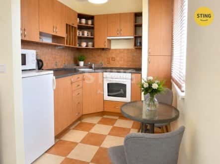 Pronájem bytu, 1+kk, 44 m², Ostrava-Jih, Ostrava, okres Ostrava-město