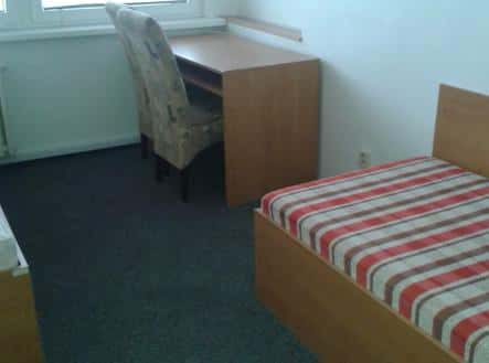 Pronájem bytu, 1+1, 14 m², Žižkova tř, České Budějovice – České Budějovice 6