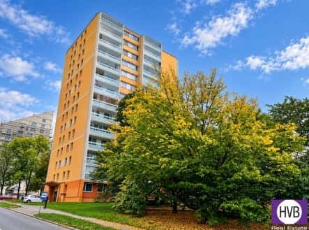Prodej bytu, 3+1, 67 m², Údolní, Praha 4 – Braník