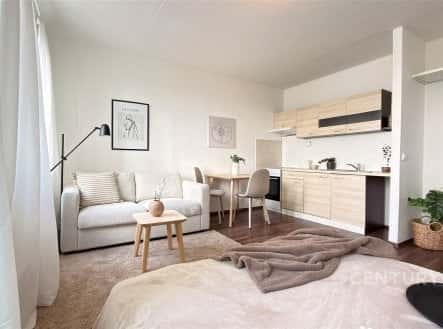 Prodej bytu, 1+kk, 32 m², Spodní, Brno – Brno-Bohunice, okres Brno-město