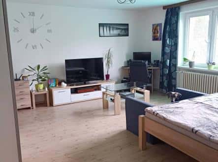 Pronájem bytu, 1+1, 45 m², Barákova, Plzeň – Plzeň 2-Slovany, okres Plzeň-město