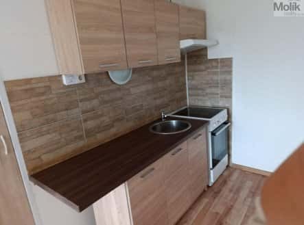 Prodej bytu, 1+kk, 32 m², V Oblouku, Ústí nad Labem – Ústí nad Labem-Neštěmice