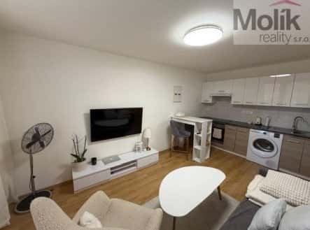 Pronájem bytu, 2+kk, 37 m², Bělehradská, Most