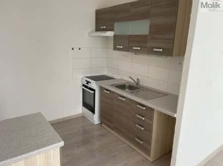 Prodej bytu, 1+kk, 33,6 m², Česká, Most