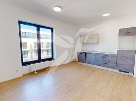 Pronájem bytu, 1+kk, 30 m², Železná, Plzeň – Plzeň 3, okres Plzeň-město
