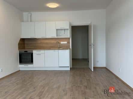 Prodej bytu, 1+kk, 46 m², Železná, Plzeň – Plzeň 3, okres Plzeň-město