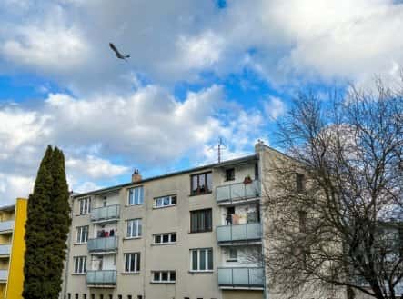 Prodej bytu, 2+1, 54 m², Sídliště, Trhové Sviny, okres České Budějovice