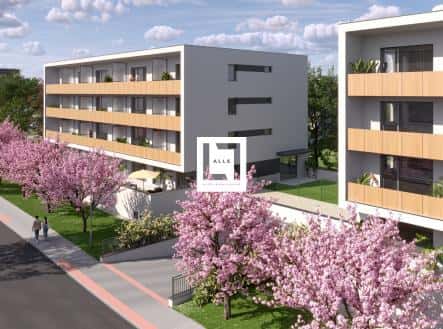 Prodej bytu, 3+kk, 80 m², Loudova, Olomouc