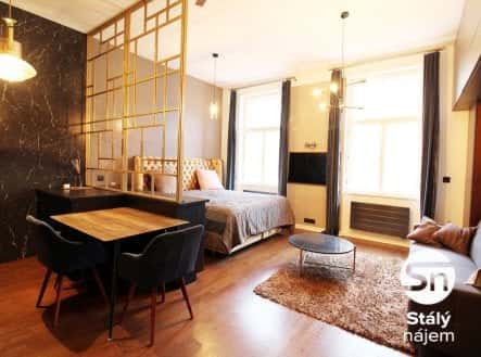 Pronájem bytu, 1+kk, 41 m², Mánesova, Praha 2 – Vinohrady
