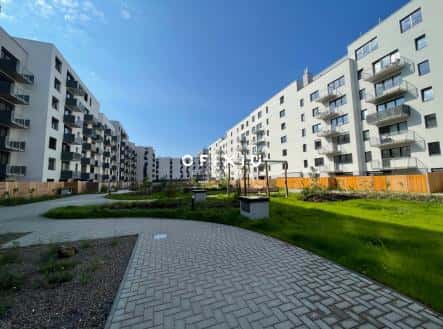 Pronájem bytu, 1+kk, 85 m², Sportovní, Brno – Brno-Královo Pole, okres Brno-město