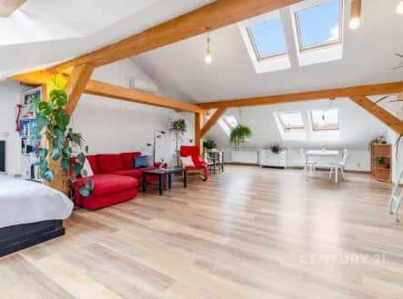 Prodej bytu, 1+1, 101 m², Na Čečeličce, Praha 5 – Smíchov