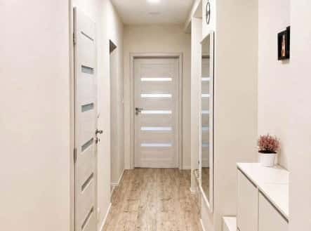 Pronájem bytu, 3+kk, 63 m², Wolkerova, Olomouc – Nová Ulice