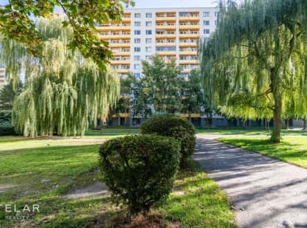 Prodej bytu, 1+kk, 30 m², třída Edvarda Beneše, Hradec Králové – Nový Hradec Králové