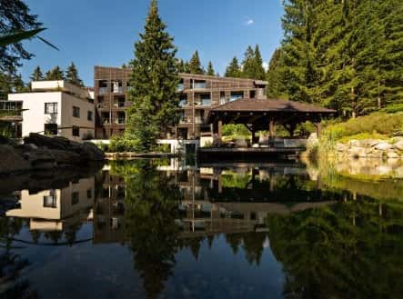 Prodej bytu, 3+kk, 120 m², K vodárně, Železná Ruda, okres Klatovy