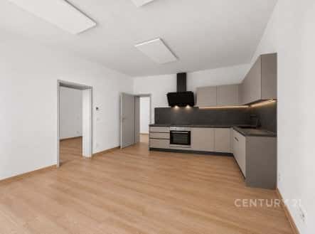 Pronájem bytu, 2+kk, 54 m², Radyňská, Plzeň – Plzeň 2-Slovany, okres Plzeň-město