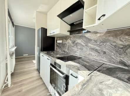 Prodej bytu, 1+kk, 28 m², K. H. Borovského, Most