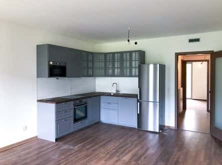 Pronájem bytu, 2+kk, 69 m², Hartigova, Praha 3 – Žižkov