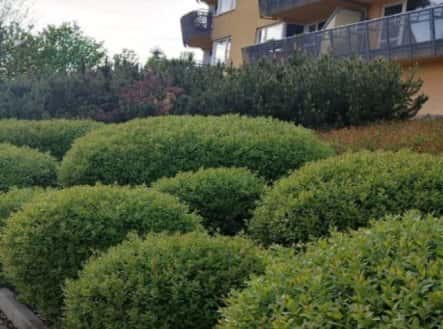 Prodej bytu, 4+kk, 100 m², Melodická, Praha 5 – Stodůlky