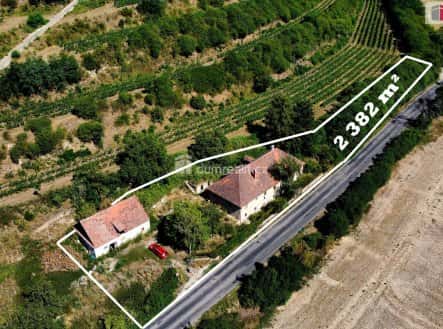 Prodej domu/vily, 300 m², Dolní Beřkovice, okres Mělník