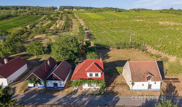 Vinný sklep 83m2, pozemky 8.420m2, Blatnice pod Svatým Antonínkem, Blatnice pod Svatým Antonínkem, okres Hodonín