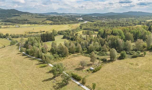 Prodej stavebního pozemku 2 451 m², Nová Pec, okres Prachatice