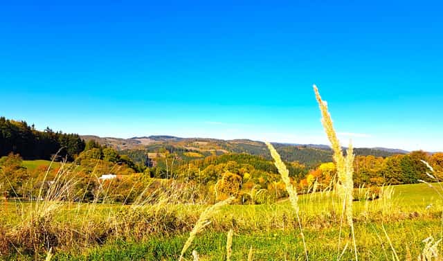 Prodej chalupy 180 m² s pozemkem 2 834 m², Prlov, okres Vsetín