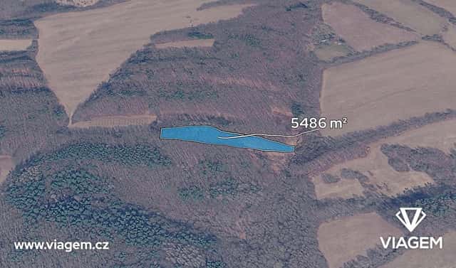 Prodej lesa 1 828 m², Březůvky, okres Zlín