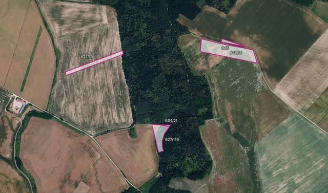 Prodej pole 24 528 m², Džbánice, okres Znojmo
