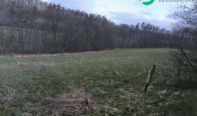 Prodej zahrady 7 800 m², Nový Jičín