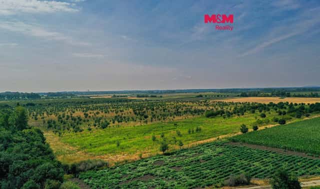 Prodej pole 123 477 m², Rakvice, okres Břeclav