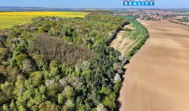Prodej lesa 5 857 m², Kounice, okres Nymburk