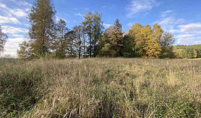 Prodej stavebního pozemku 3 207 m², Králíky – Horní Lipka, okres Ústí nad Orlicí