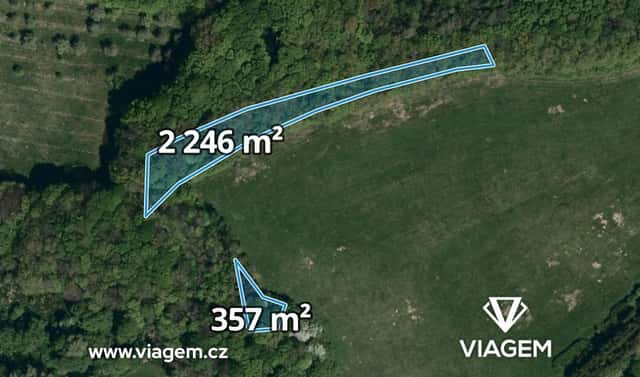 Prodej lesa 1 301 m², Bohuslavice nad Vláří, okres Zlín