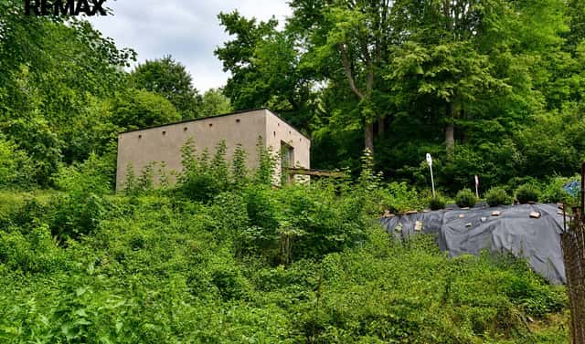 Prodej stavebního pozemku 875 m², Zlatá Olešnice, okres Trutnov