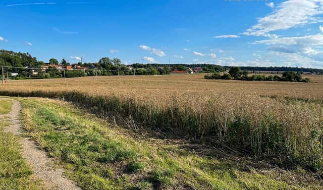 Prodej stavebního pozemku 7 409 m², Davelská, Davle – Sloup, okres Praha-západ