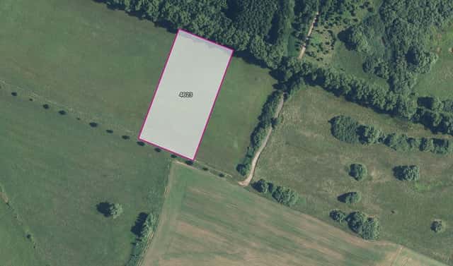 Prodej louky 10 323 m², Dvůr Králové nad Labem, okres Trutnov